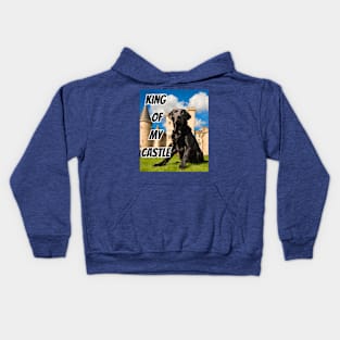 King of My Castle Black Labrador Retriever Kids Hoodie